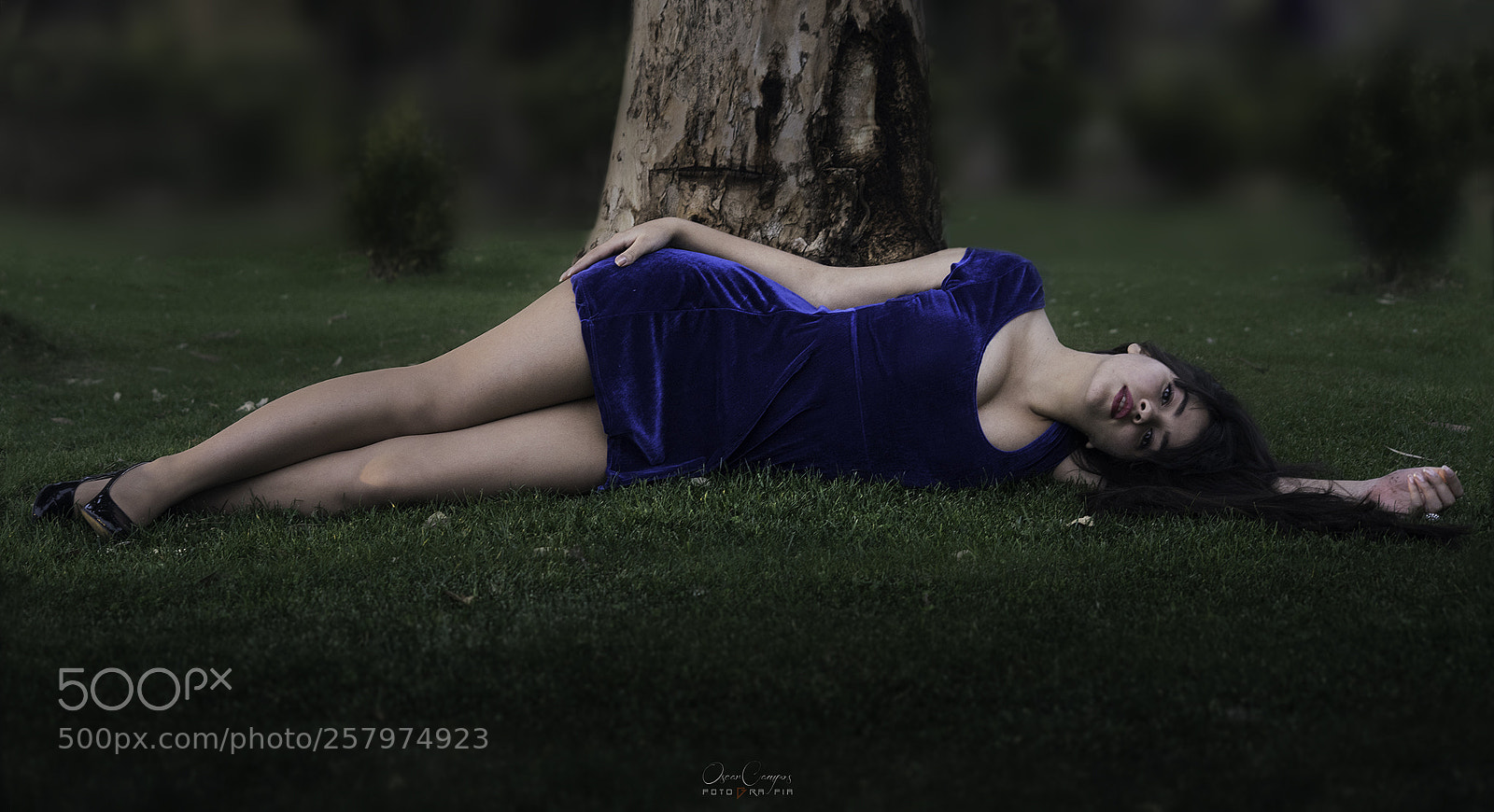 Nikon D810 sample photo. Adri photography