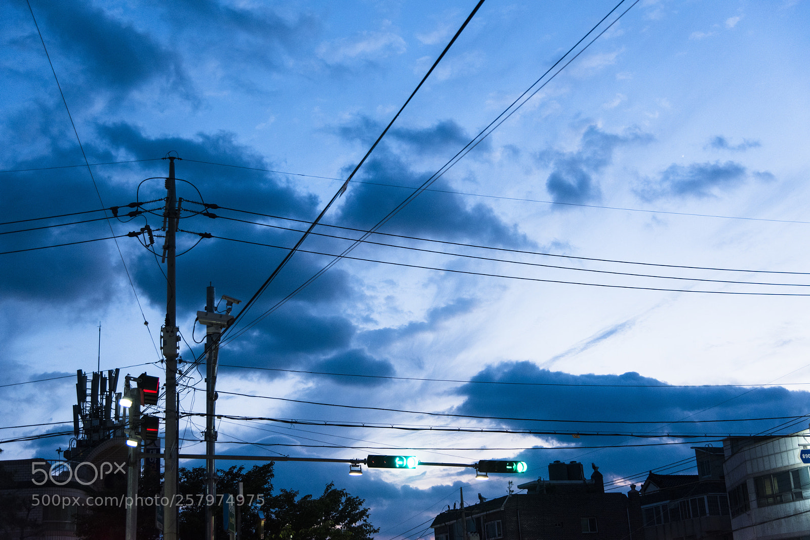 Nikon D810 sample photo. In a town   no.25 photography