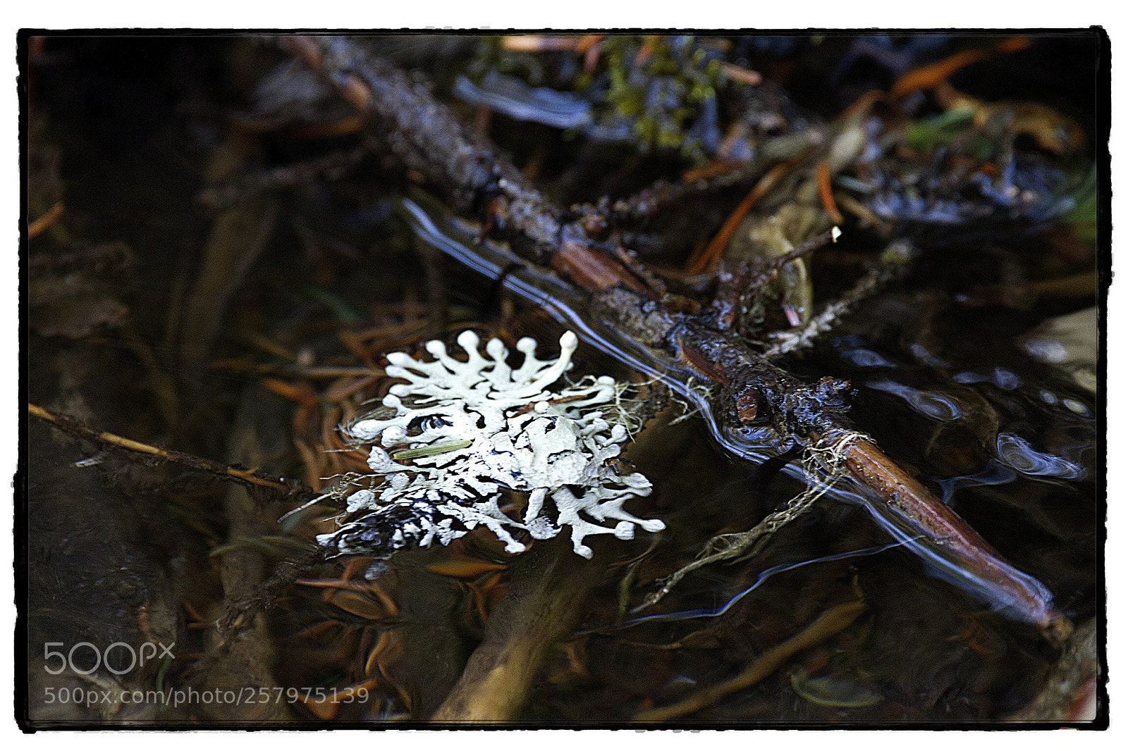 Canon EOS 7D sample photo. Mountain pond. photography