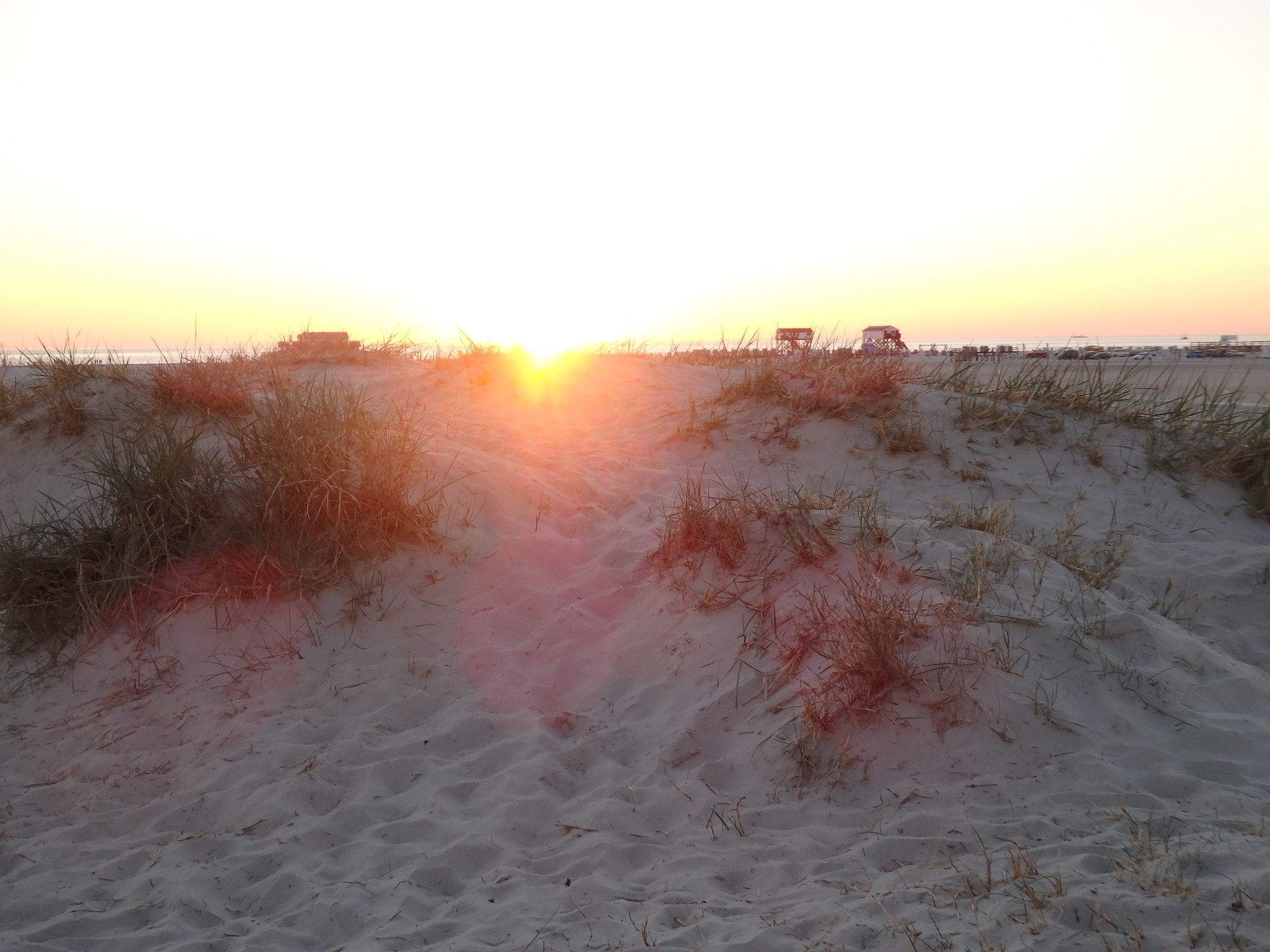 Olympus SH-2 sample photo. Sand grass sun spo photography