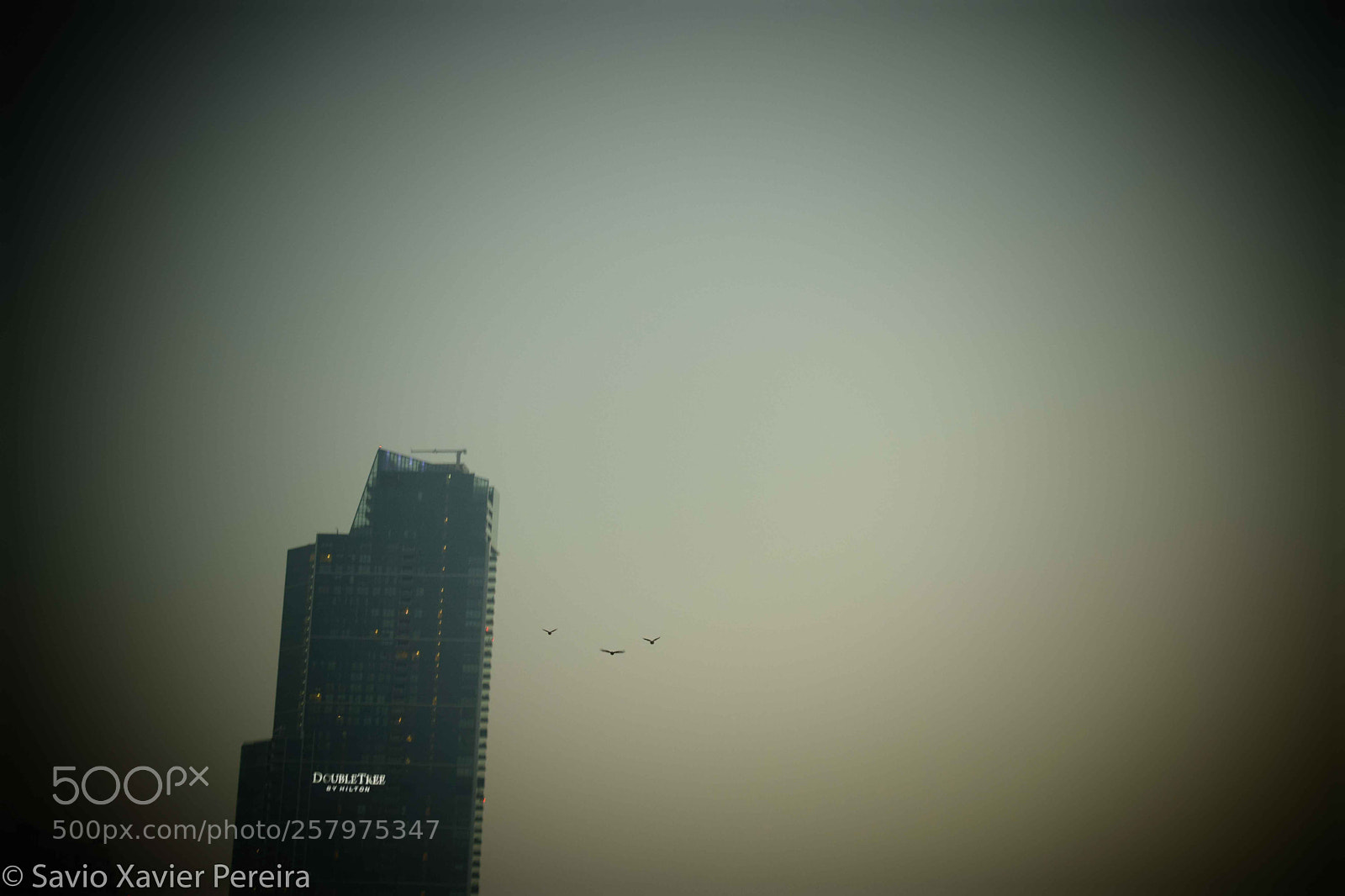 Nikon D3300 sample photo. 3 - let me fly photography