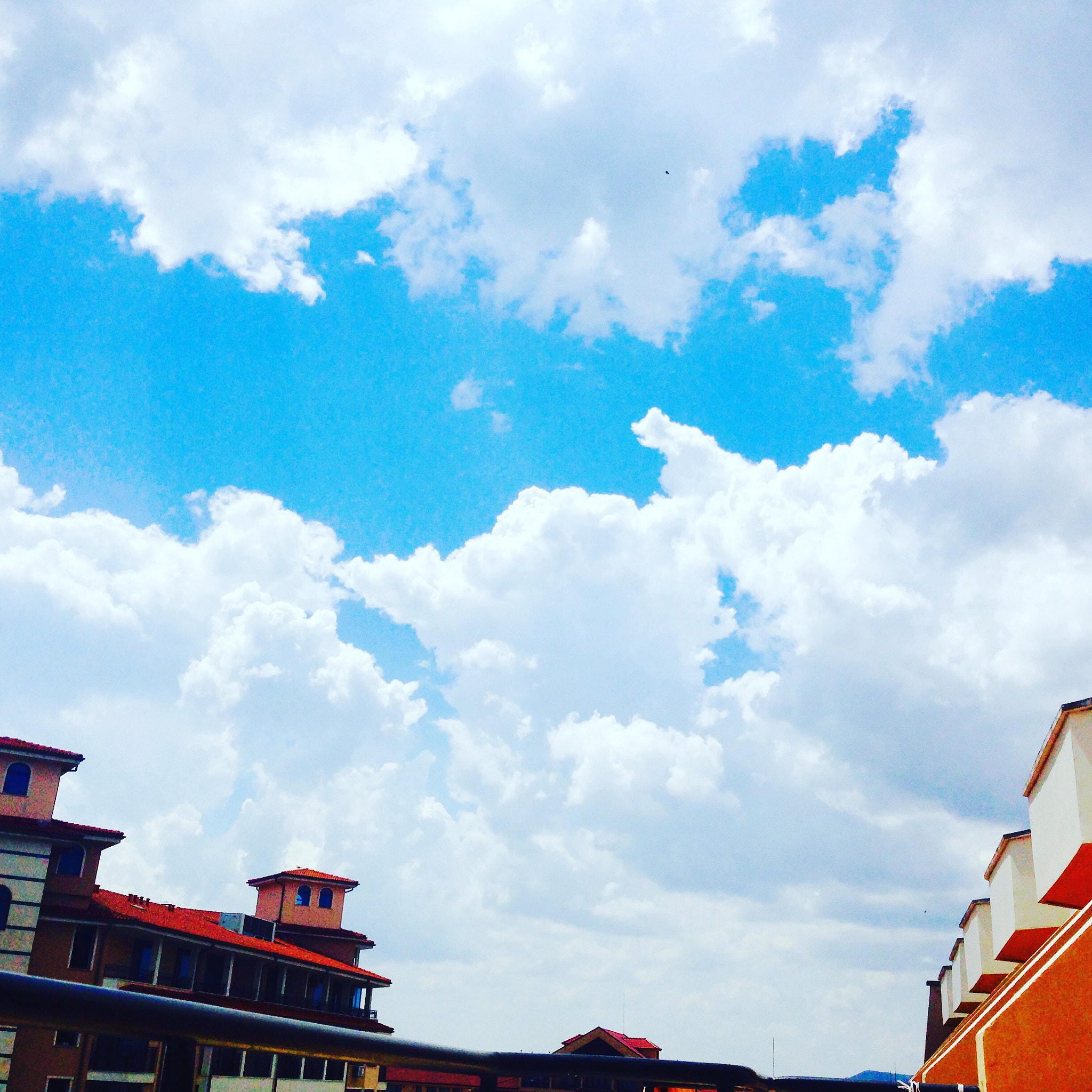 Apple iPhone 5c sample photo