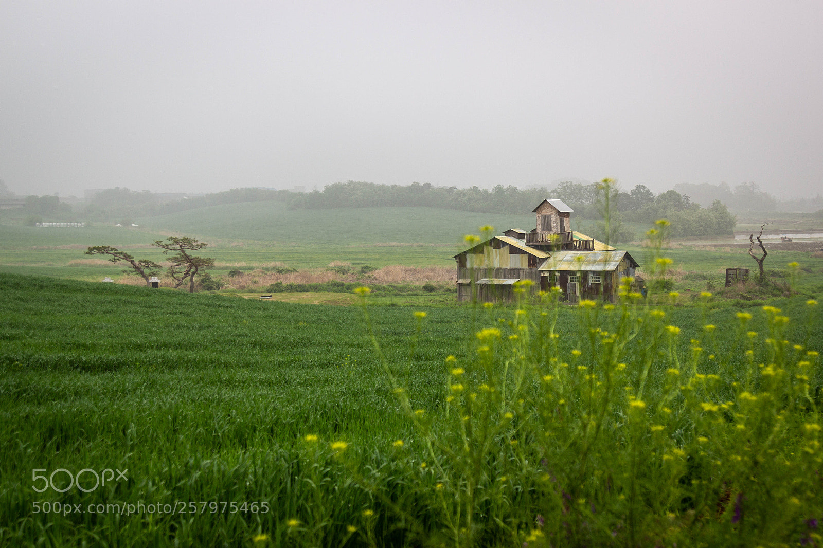 Canon EOS 600D (Rebel EOS T3i / EOS Kiss X5) sample photo. Anseong ranch photography