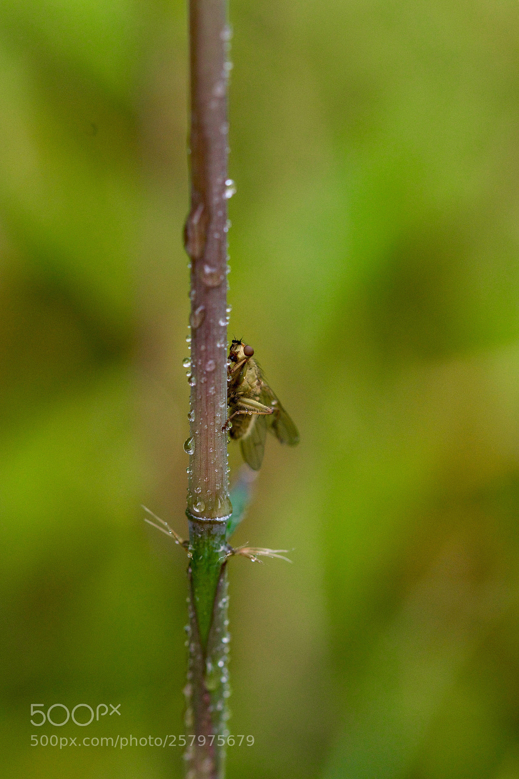 Nikon D500 sample photo. Untitled photography