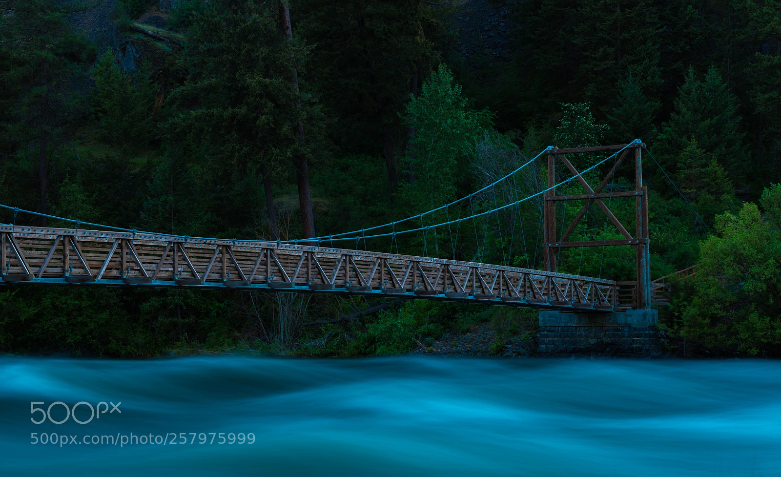 Nikon D750 sample photo. Cable bridge over torrent photography