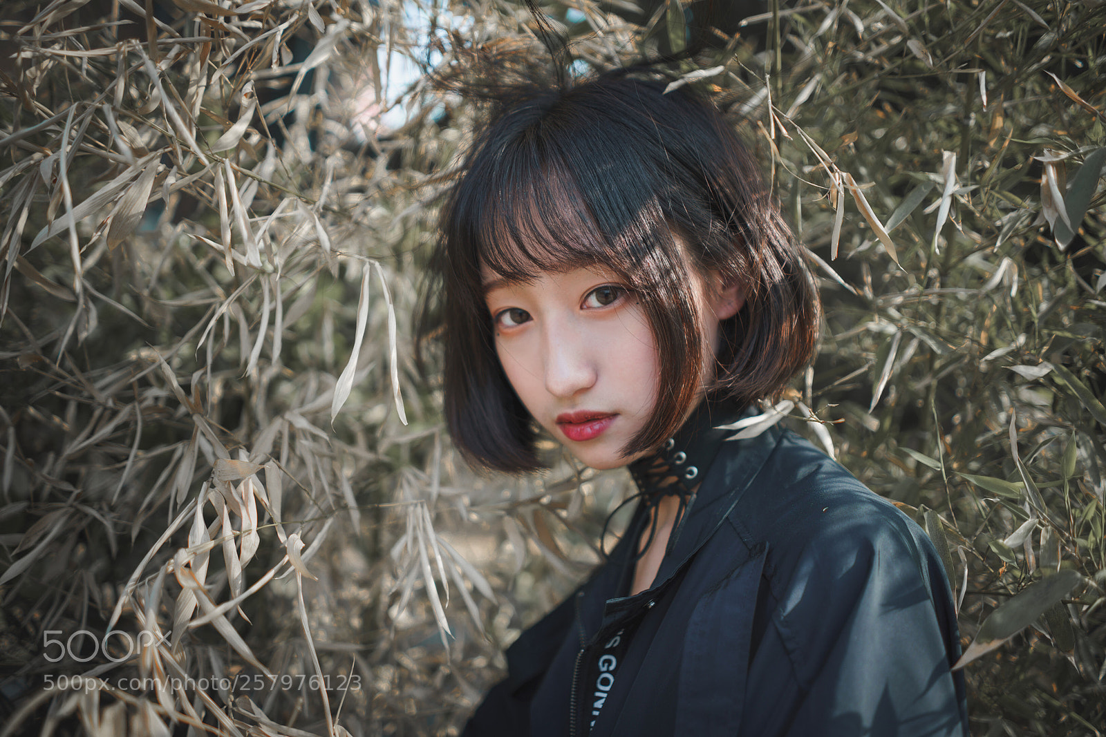 Sony a7R II sample photo. Untitled photography