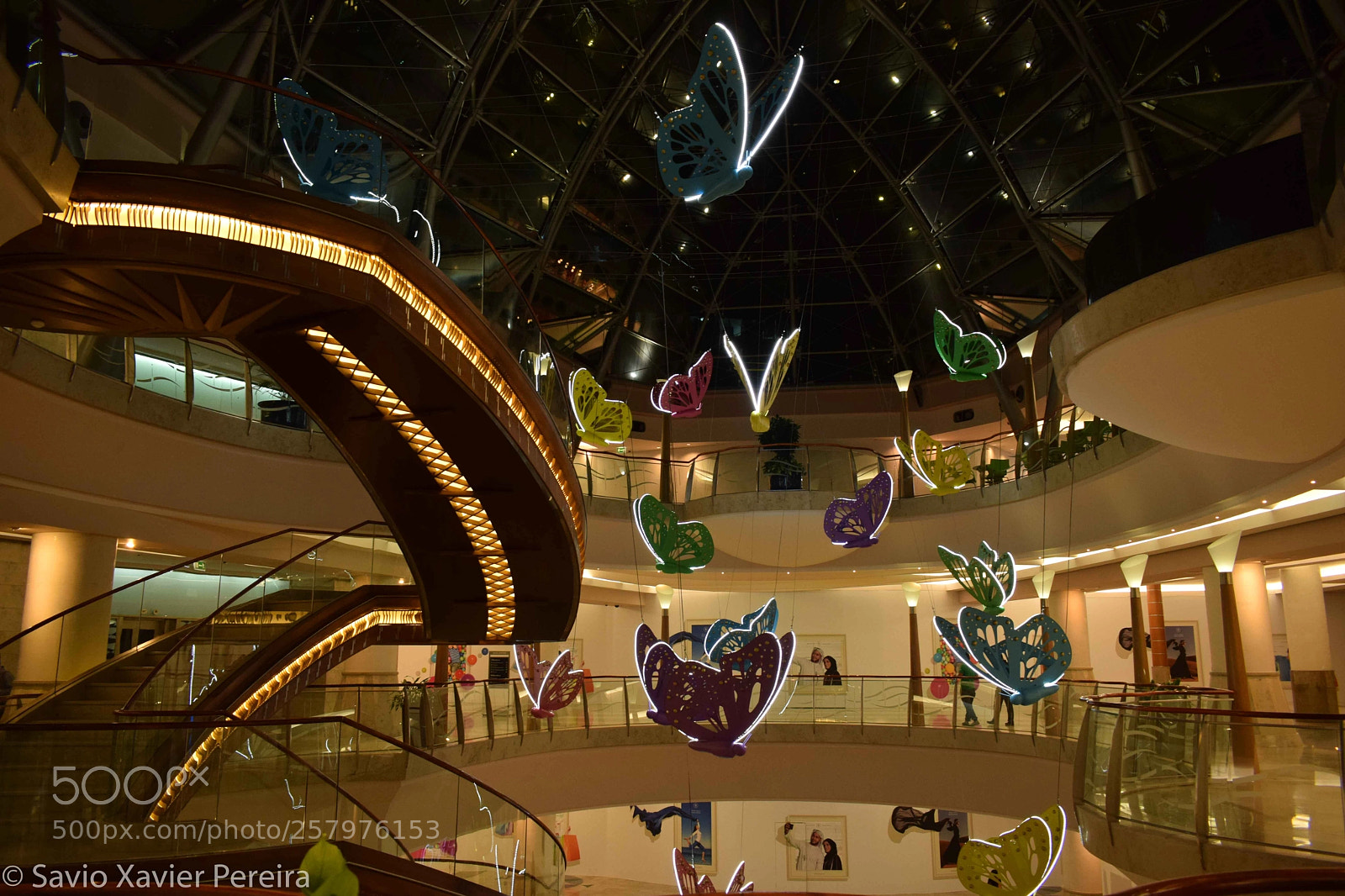 Nikon D3300 sample photo. Butterflies photography