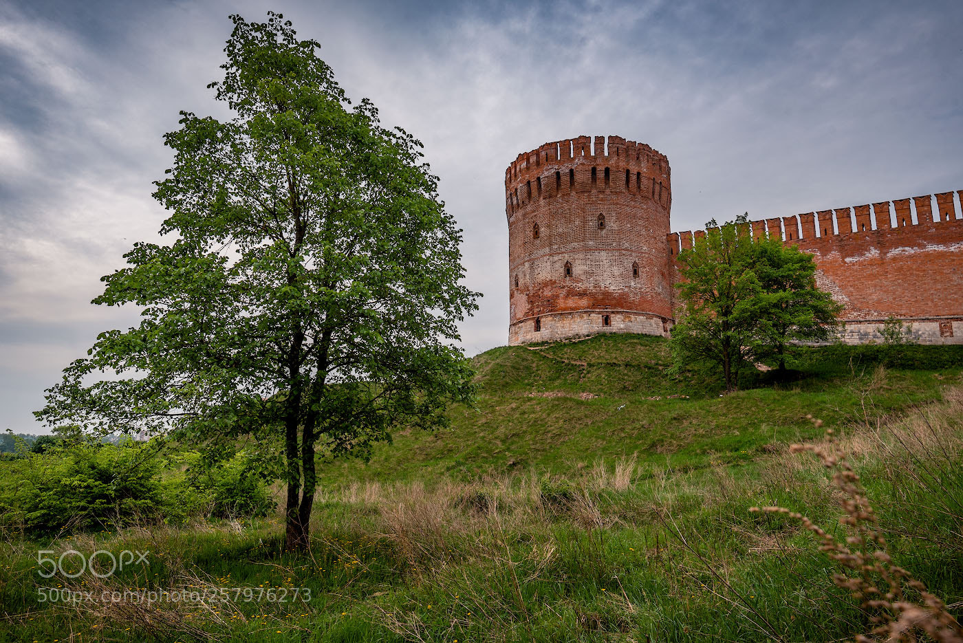 Nikon D750 sample photo. The tower eagle photography