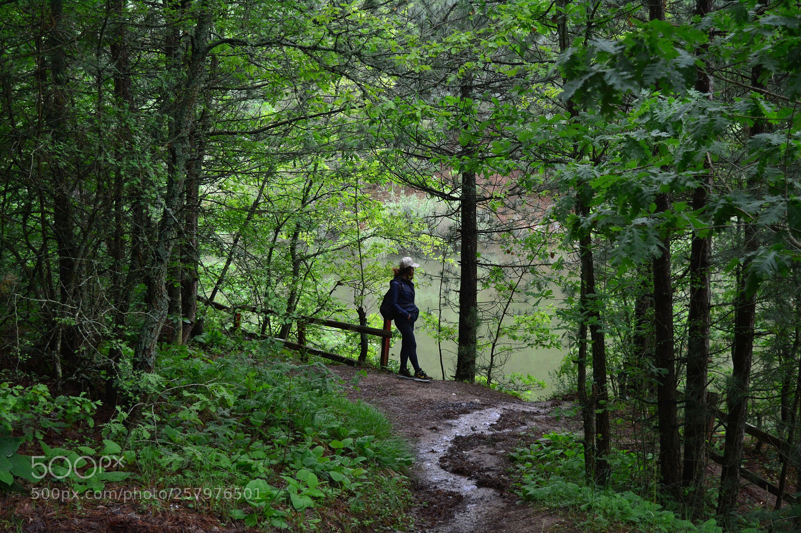 Nikon D5200 sample photo. Untitled photography