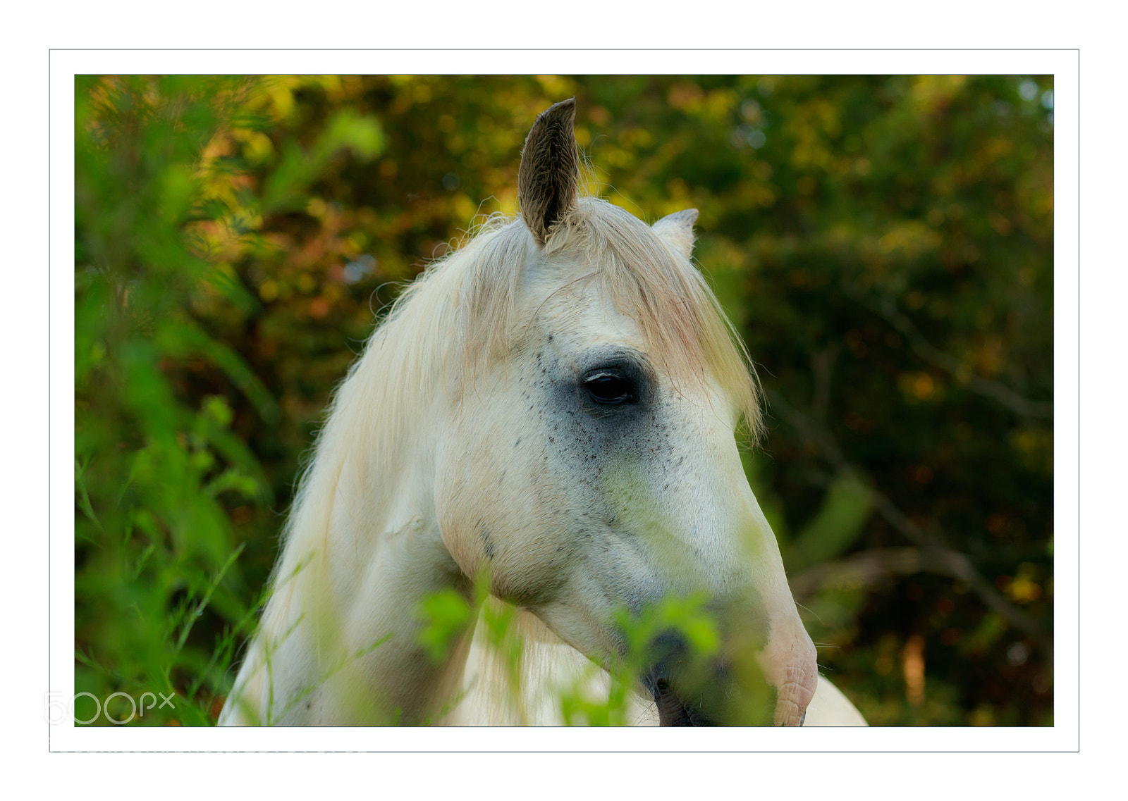 Canon EOS 80D sample photo. Beautiful view photography