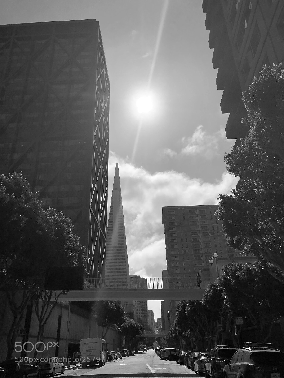 Apple iPhone 8 Plus sample photo. Crossing borders  photography