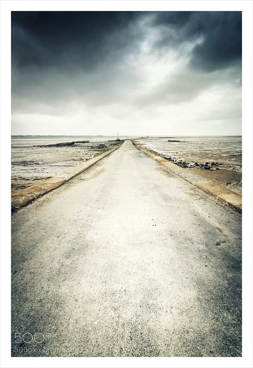 Nikon D750 sample photo. Passage du gois 1 photography