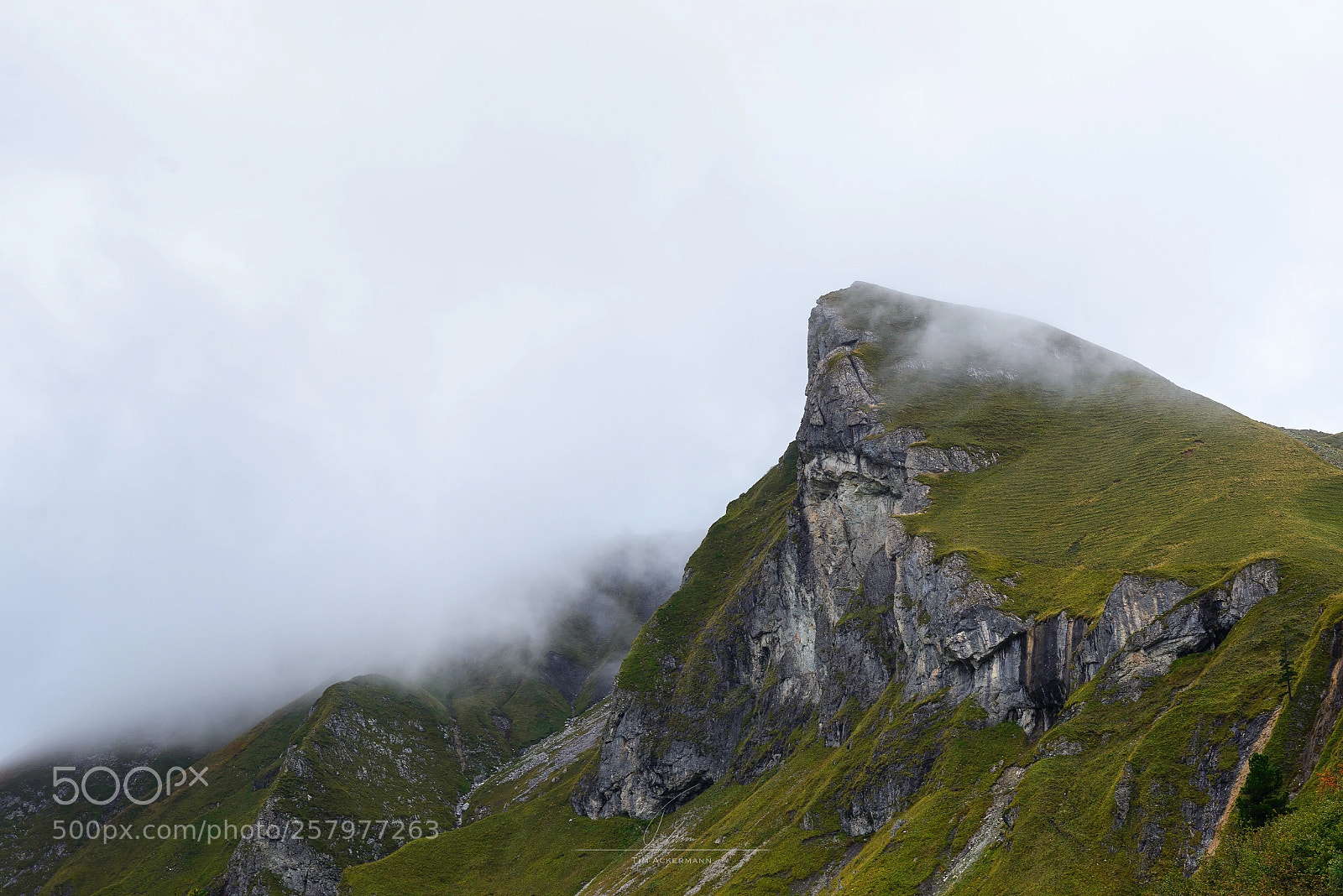 Nikon D610 sample photo. Foggy summit in austria photography