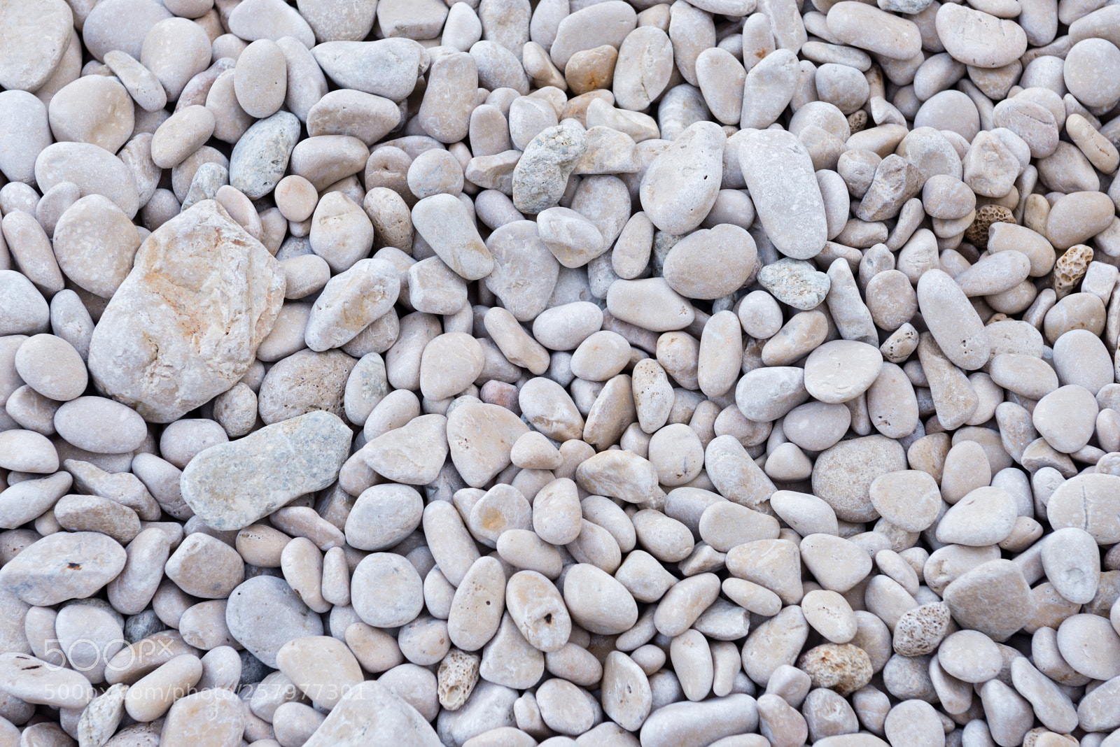 Nikon D610 sample photo. Background from pebble for photography