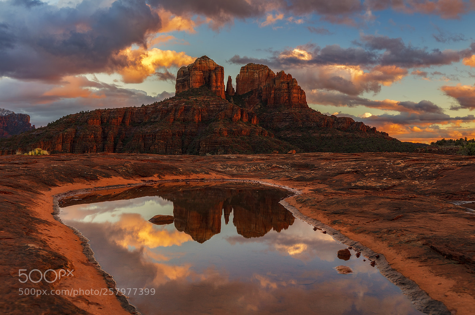 Canon EOS 5DS sample photo. Water-hole photography