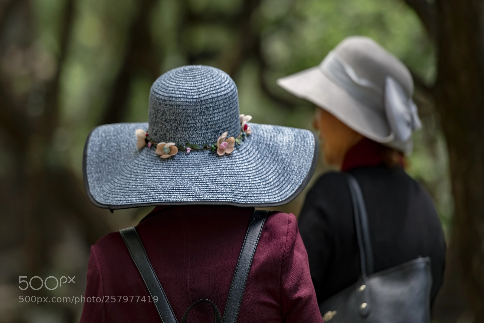 Nikon D850 sample photo. Afternoon in the park photography