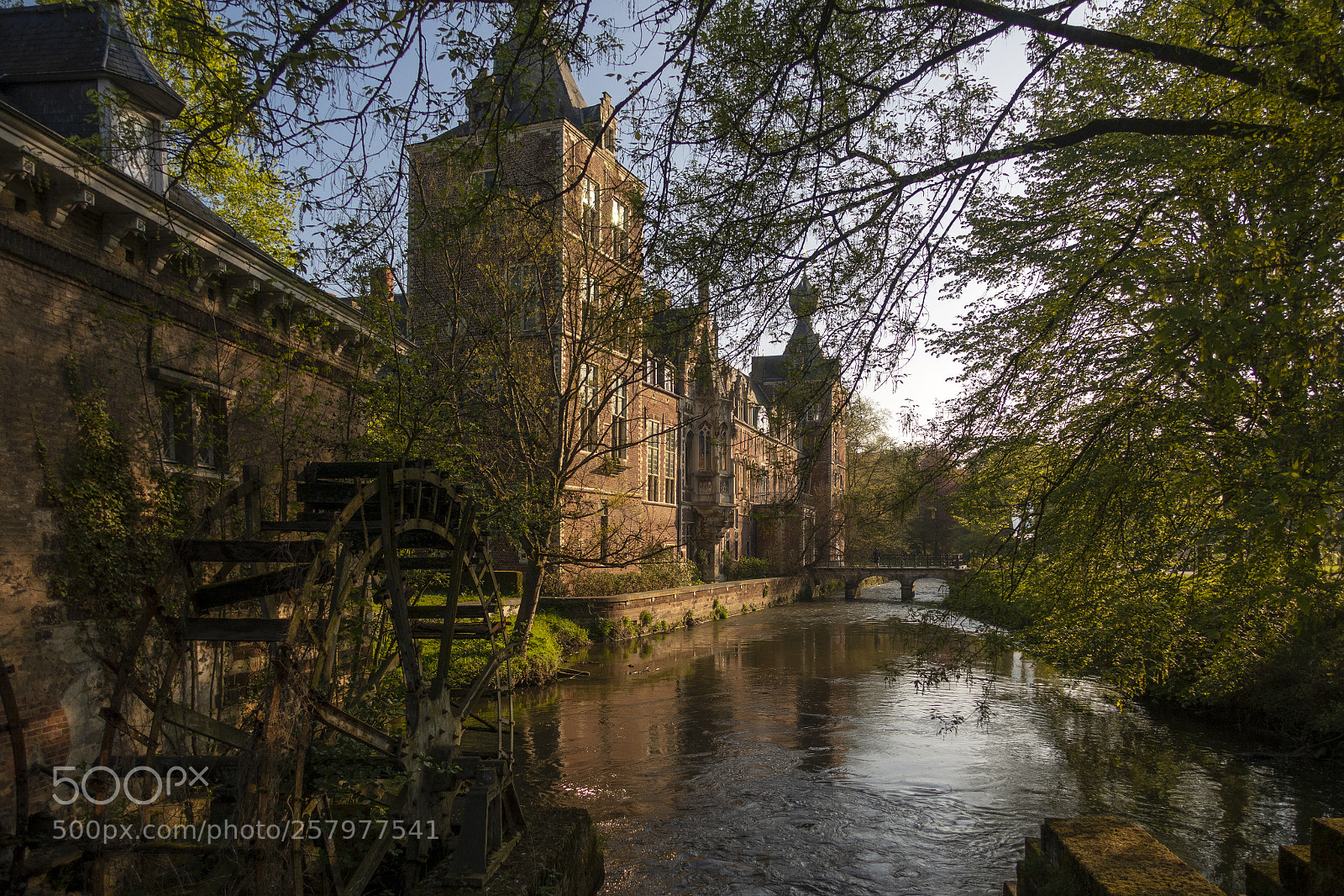 Sony Cyber-shot DSC-RX100 III sample photo. Arenberg photography