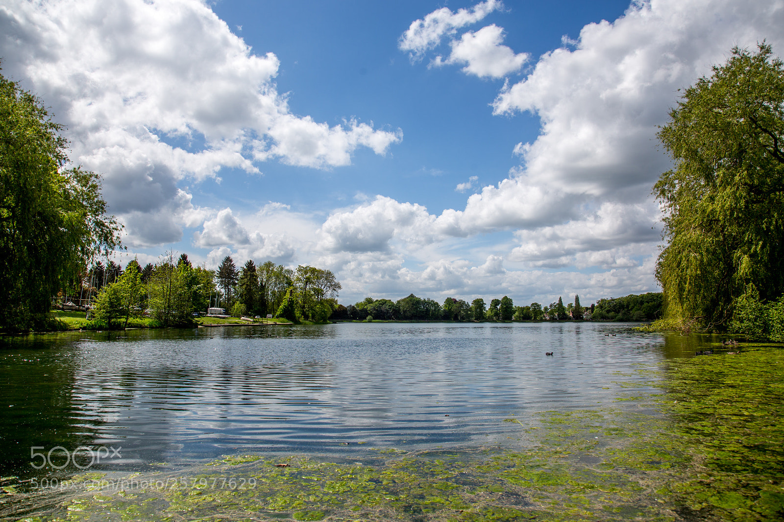 Canon EOS 6D sample photo. Himley lake photography