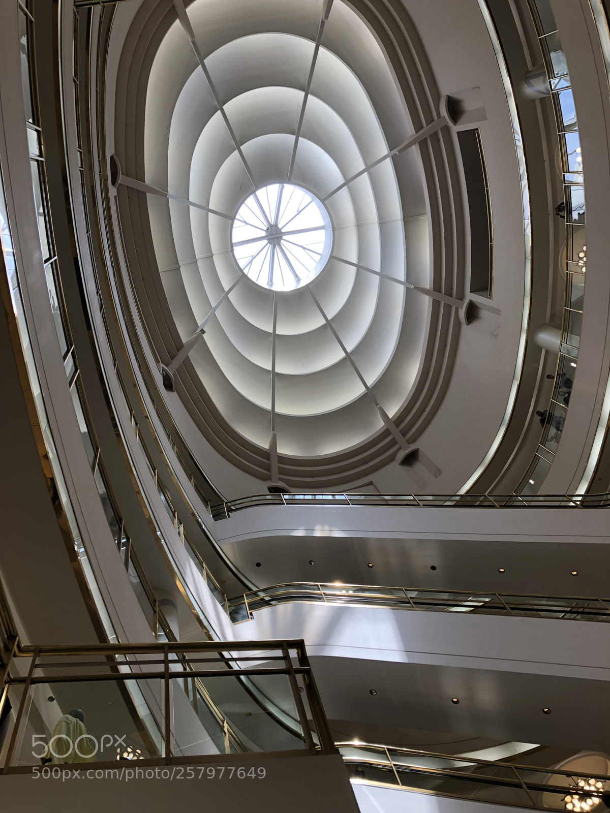 Apple iPhone 8 Plus sample photo. Oculus photography