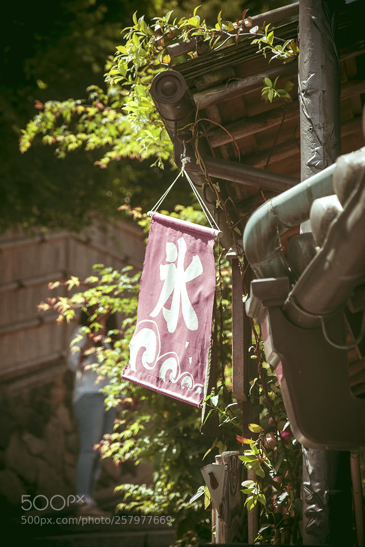 Sony Alpha DSLR-A700 sample photo. Untitled photography