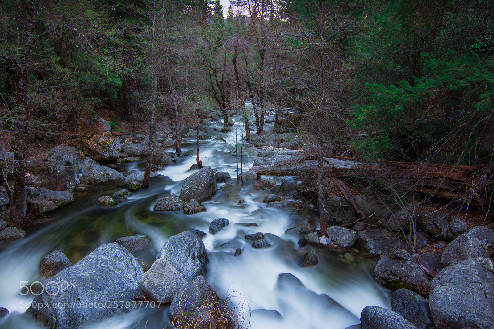 Nikon D7100 sample photo. Flow photography