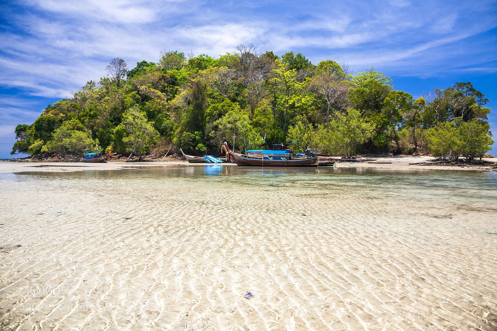 Canon EOS 5D sample photo. Longtails in the lagoon photography