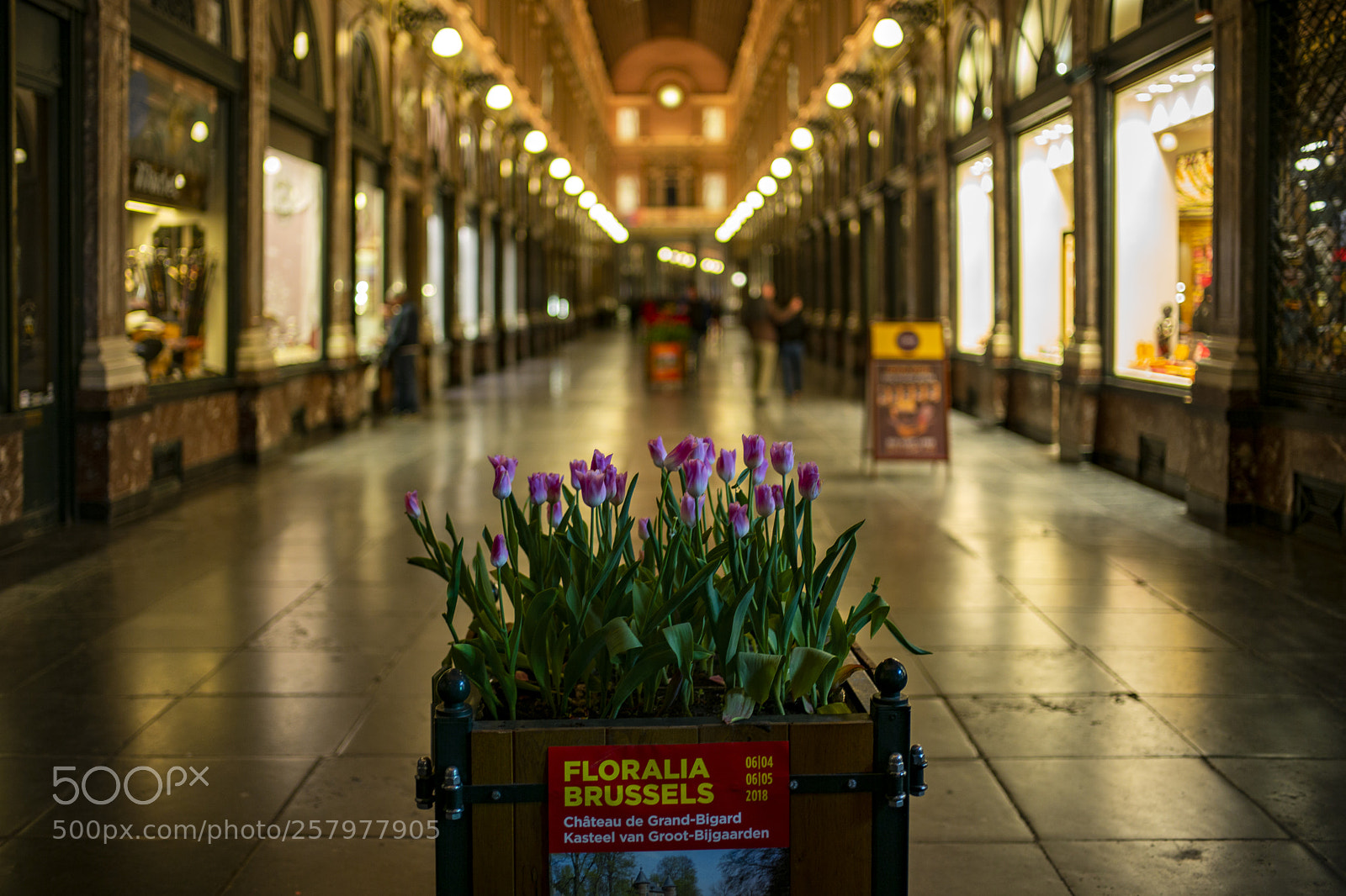 Leica M (Typ 240) sample photo. Galeries st. hubert photography