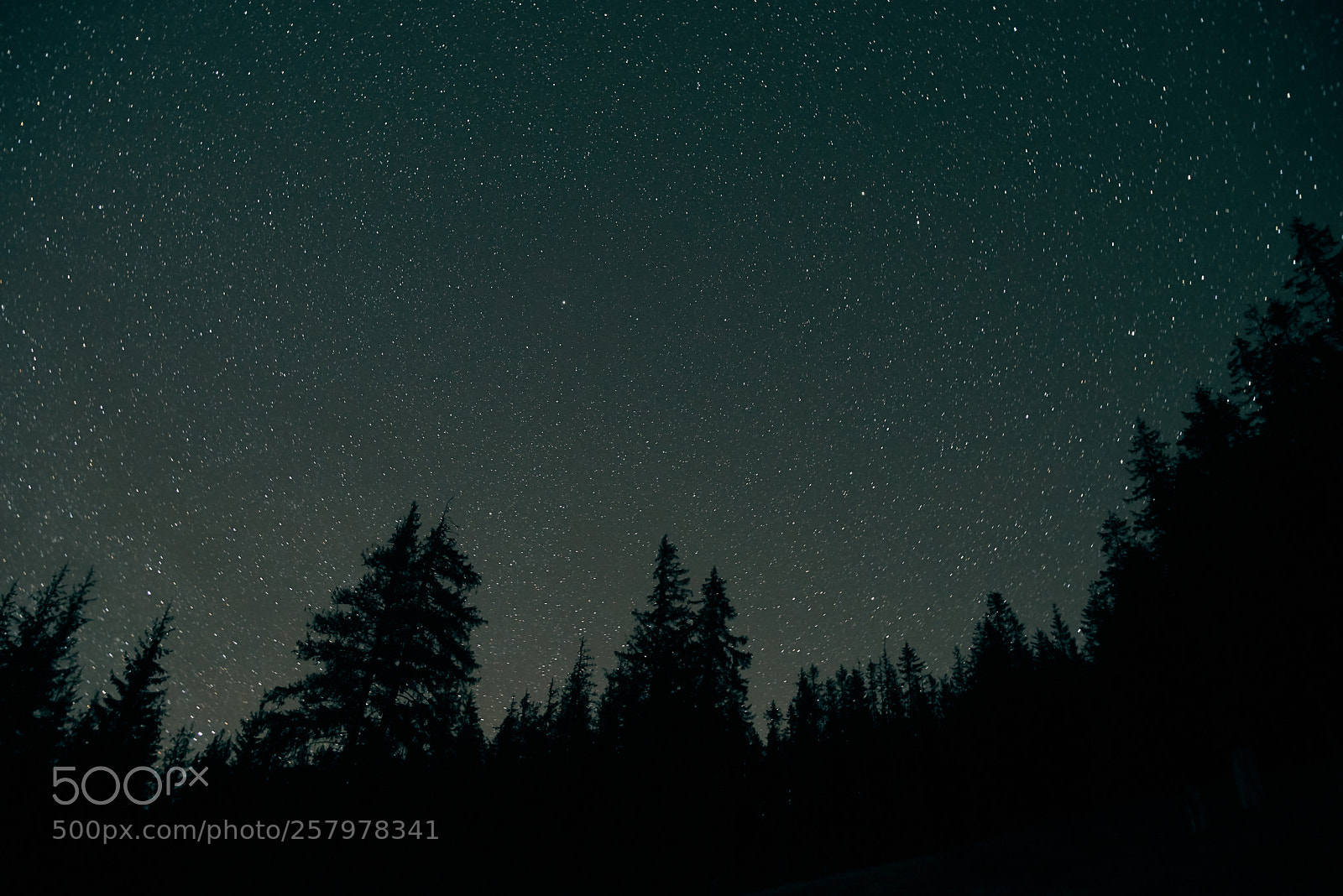 Nikon D600 sample photo. Night sky over rural photography