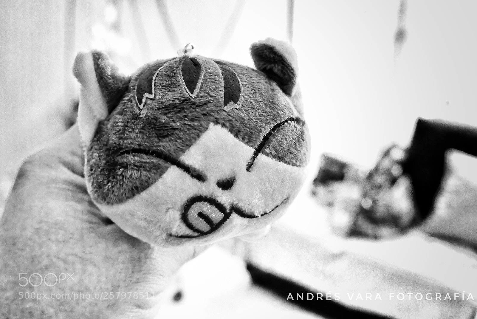 Leica D-Lux (Typ 109) sample photo. Untitled photography