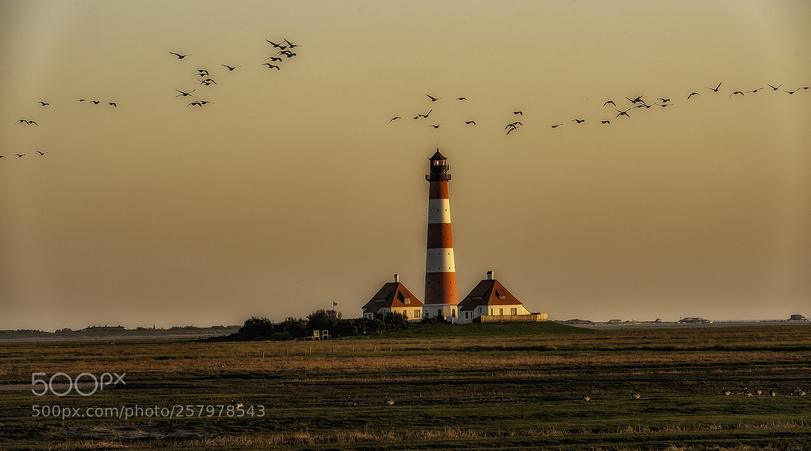 Nikon D700 sample photo. Golden hour in westerhever photography