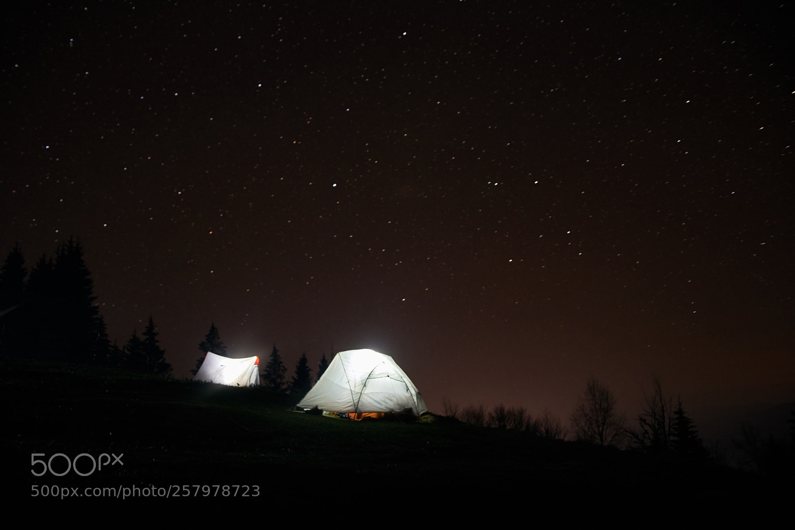 Nikon D600 sample photo. Camping under the stars photography