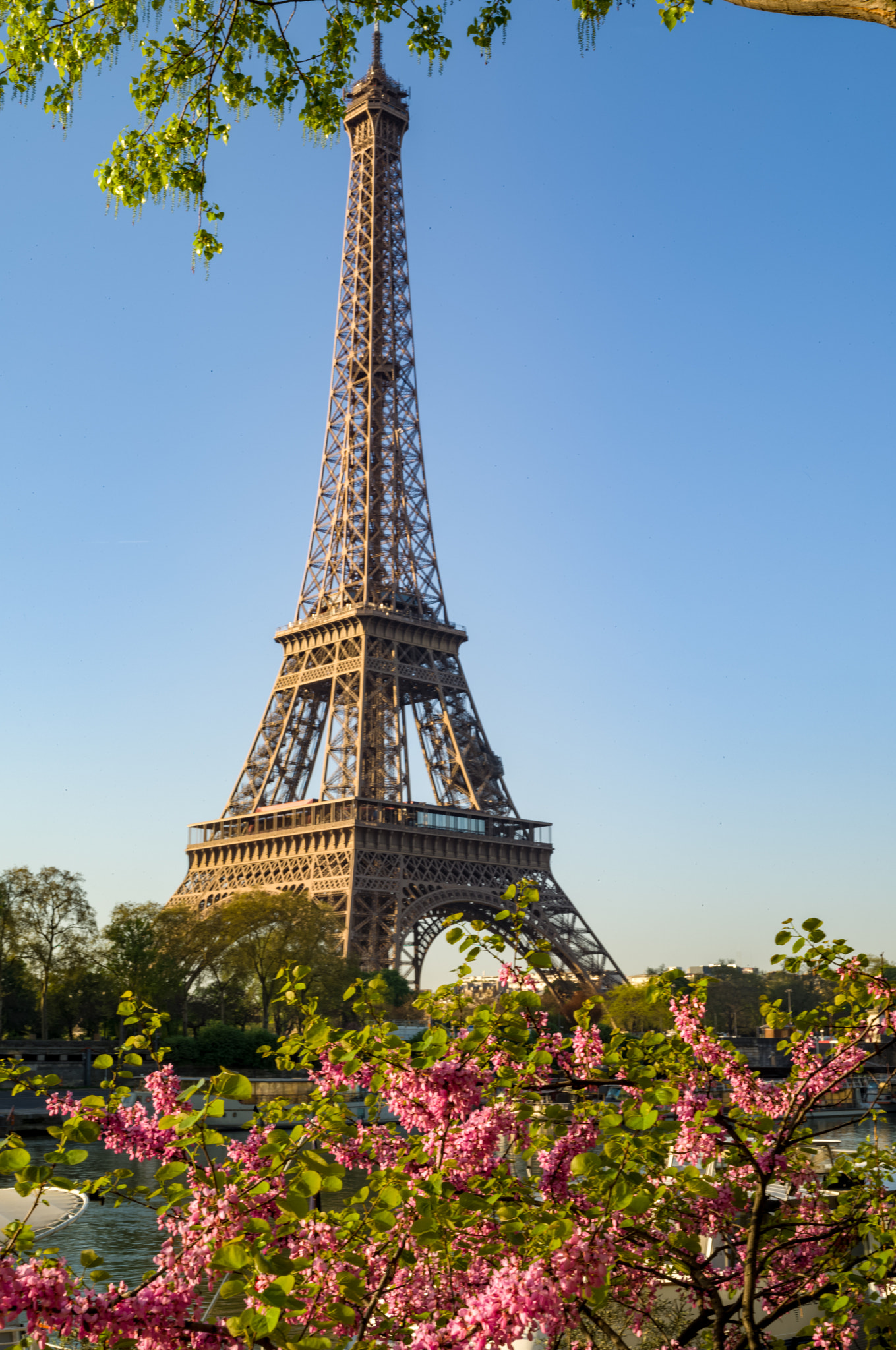 Leica S (TYP 007) sample photo. Eiffel tower with spring flowers photography
