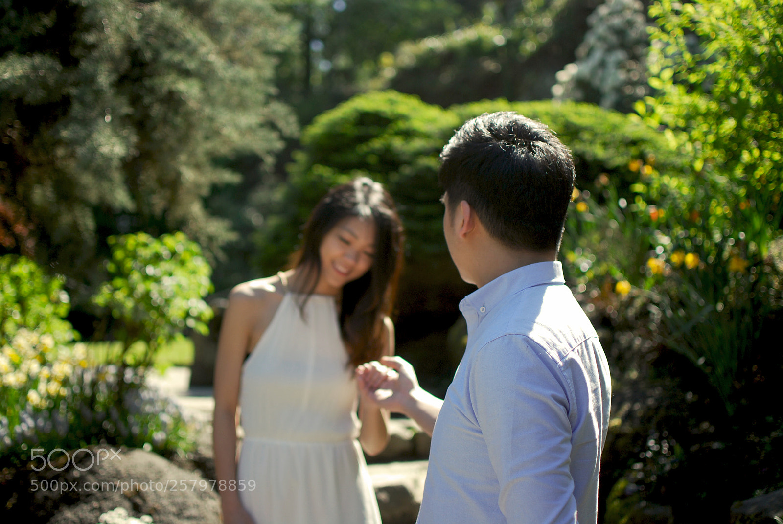 Nikon D40X sample photo. Take my hand photography