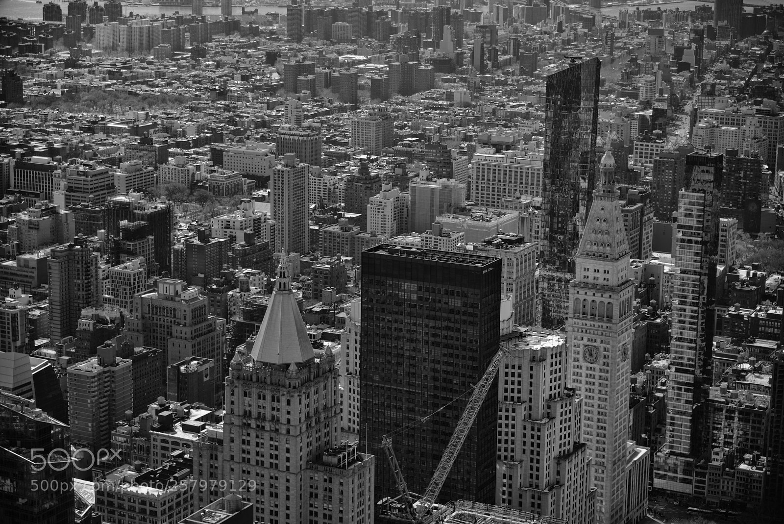 Nikon D810 sample photo. Donwtown new york photography