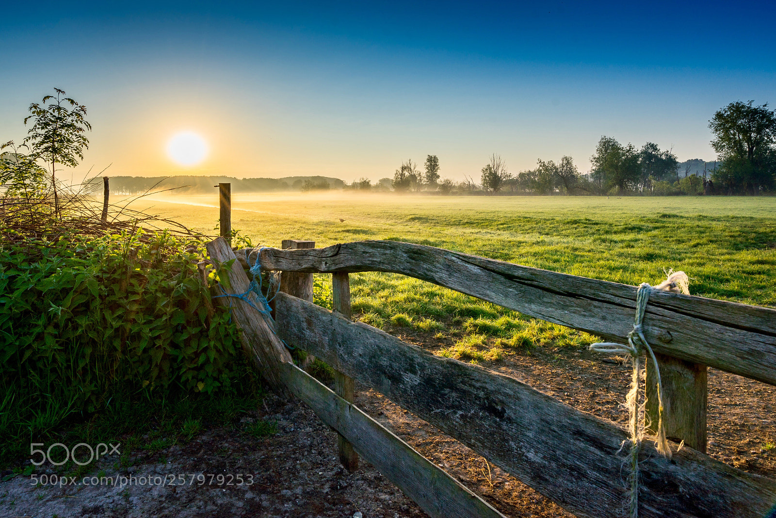 Sony a7R sample photo. Sunrise bieslandse polder photography