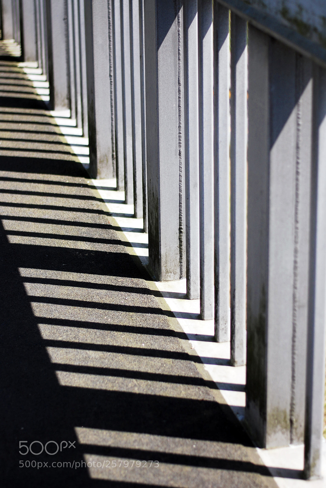 Nikon D40X sample photo. Shadows photography