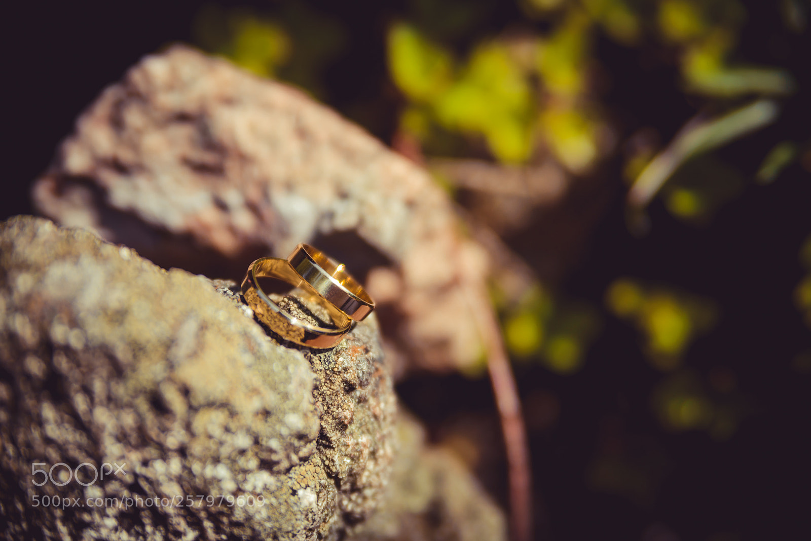 Nikon D610 sample photo. Karolina kamil when north photography