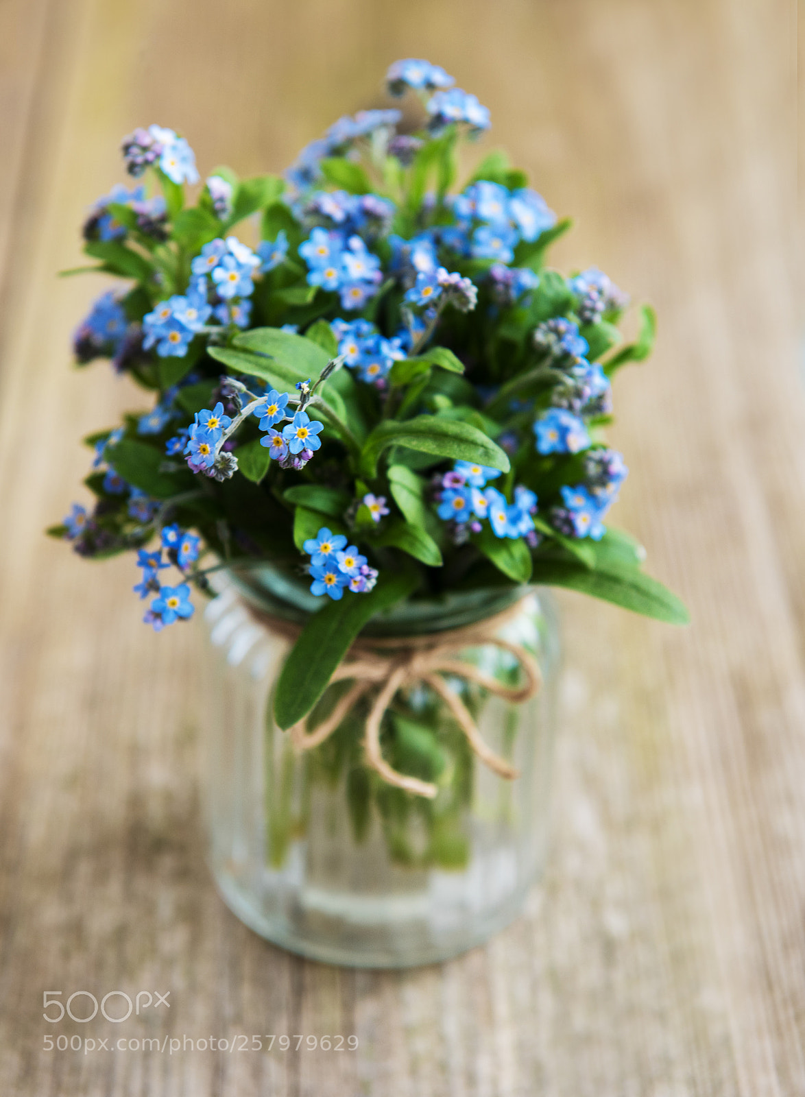 Nikon D750 sample photo. Bouquet of forget me photography