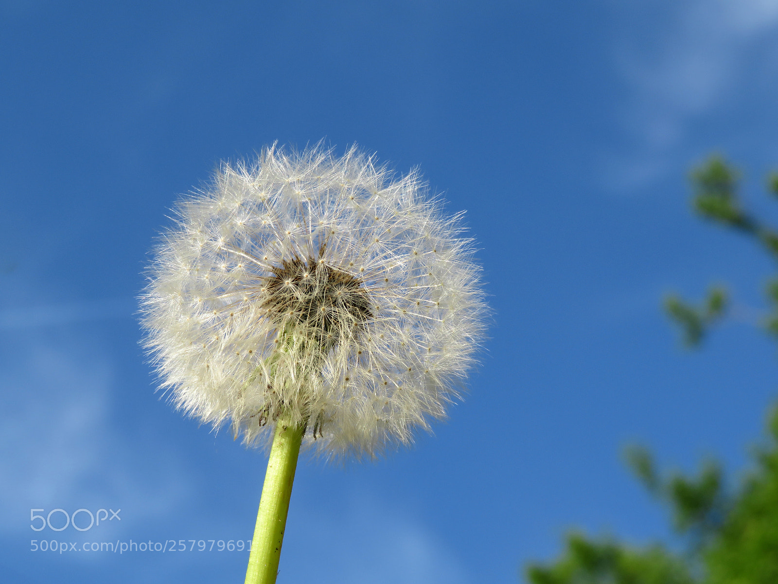 Canon PowerShot SX720 HS sample photo. Ready to fly photography