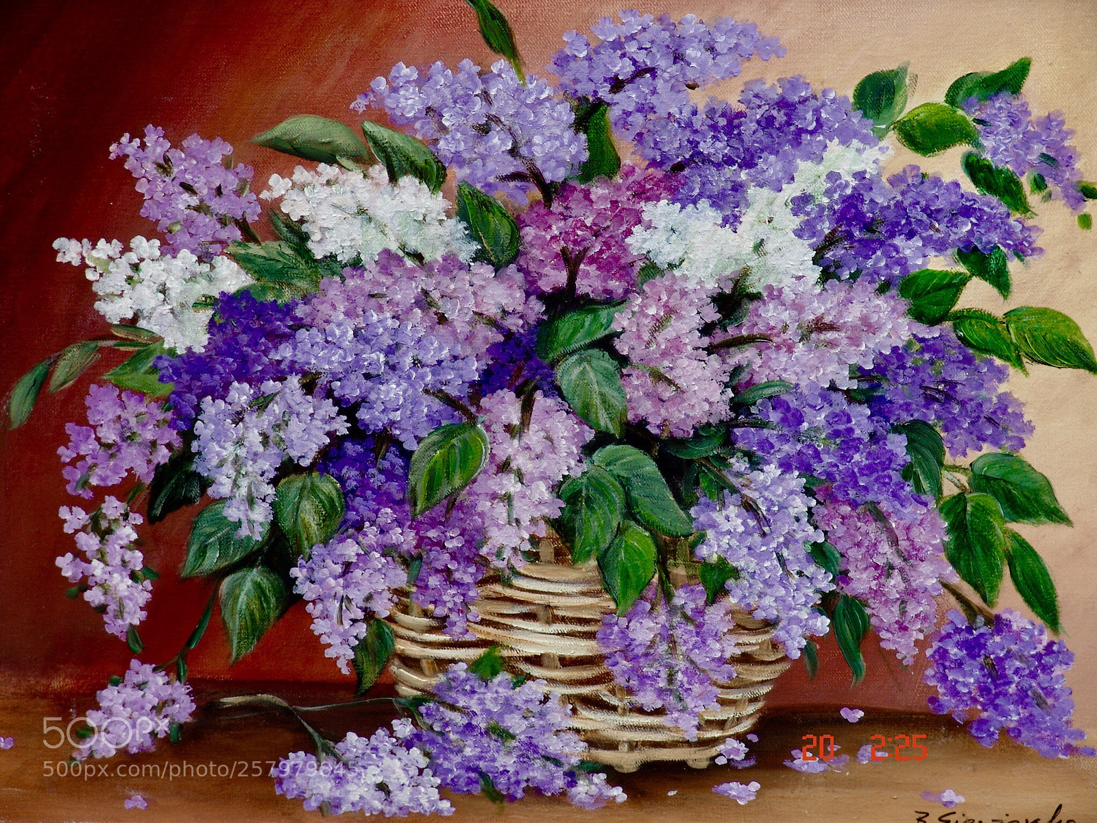 Sony DSC-F828 sample photo. Lilac photography