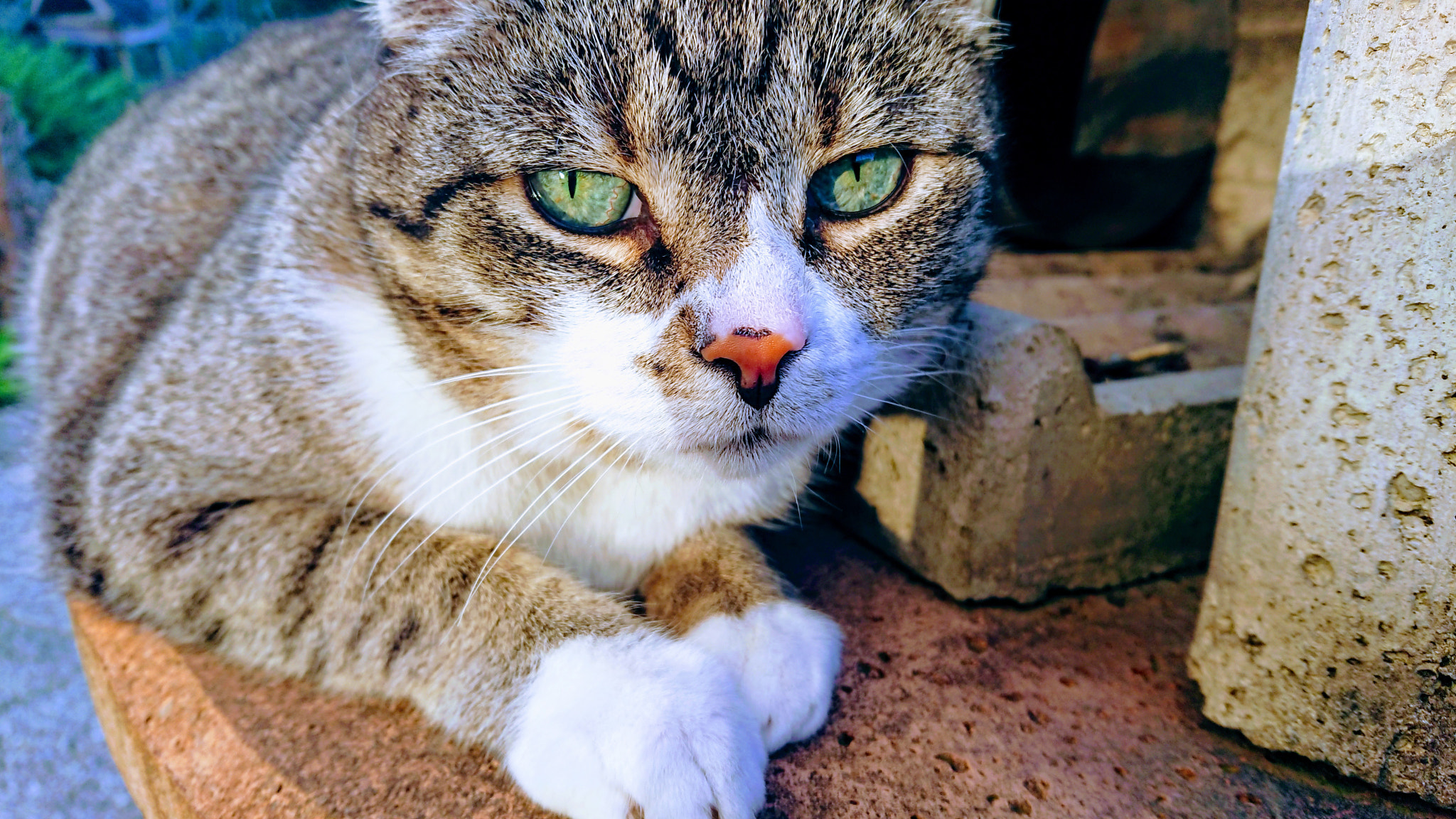 Sony Xperia XZ Premium sample photo