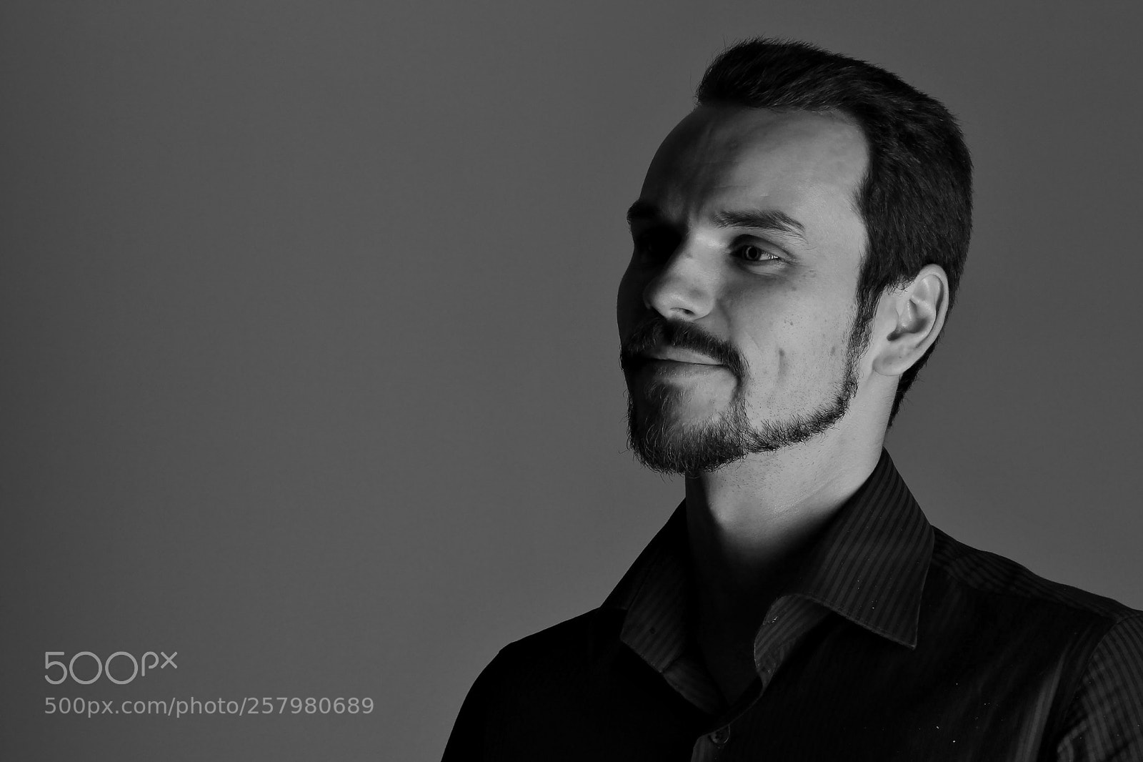 Canon EOS 600D (Rebel EOS T3i / EOS Kiss X5) sample photo. Face of handsome man photography