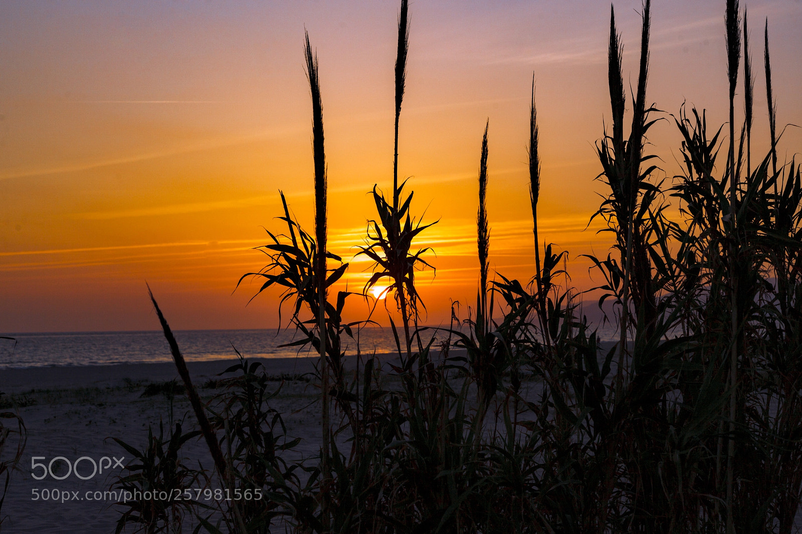 Canon EOS 5D Mark II sample photo. Tarifa, españa. photography