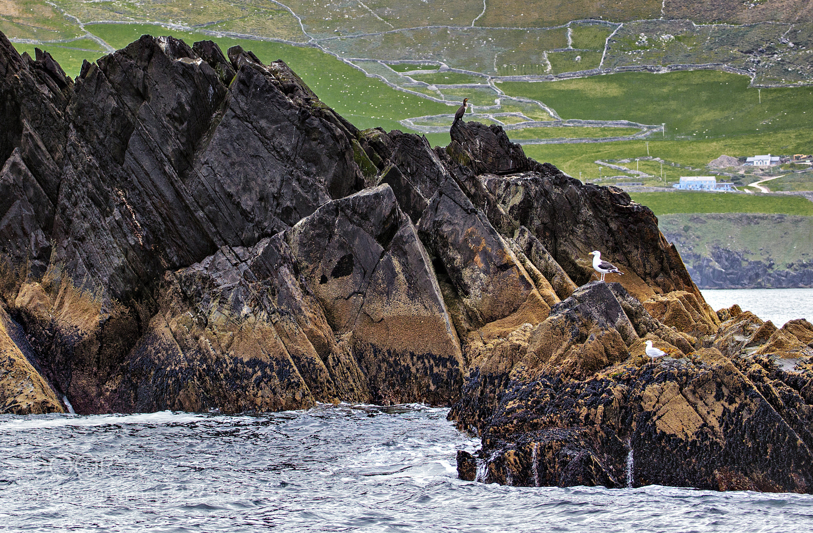 Canon EOS 5D Mark II sample photo. On blasket sound photography