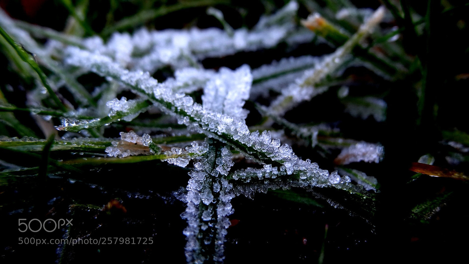 Sony Cyber-shot DSC-HX20V sample photo. View of snow on photography