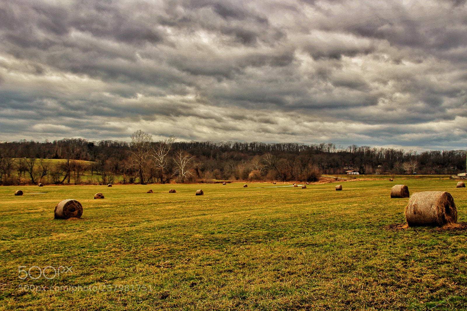 Canon EOS 100D (EOS Rebel SL1 / EOS Kiss X7) sample photo. View of grasslands. photography