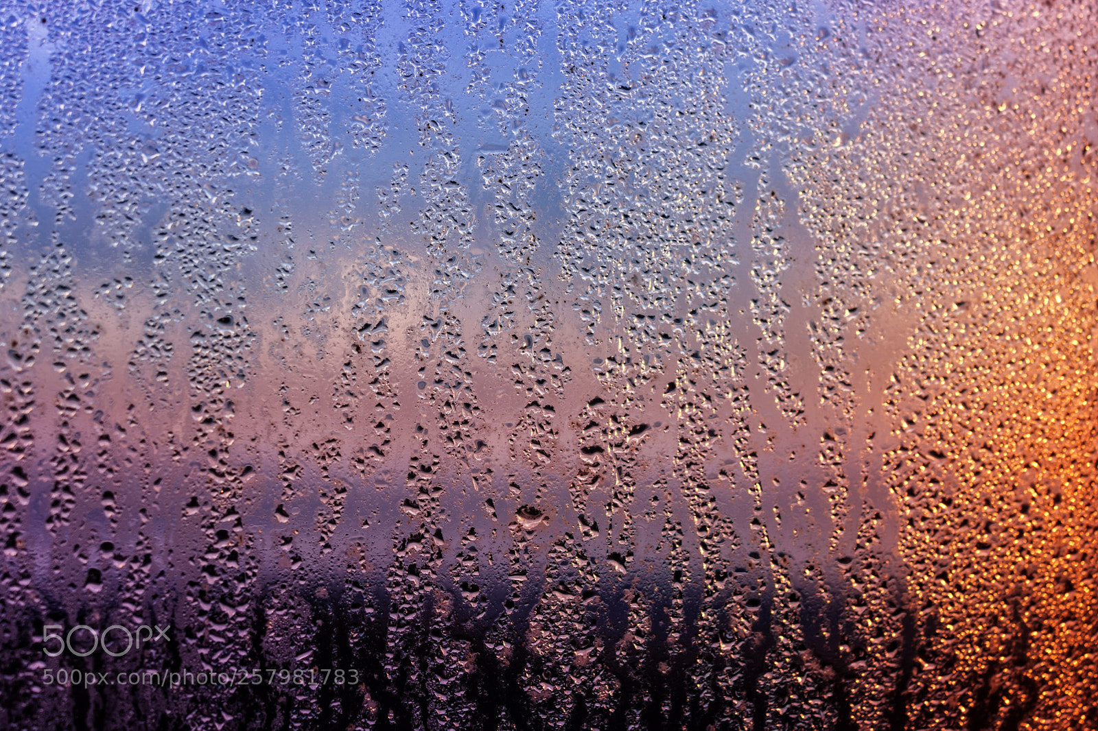 Canon EOS 760D (EOS Rebel T6s / EOS 8000D) sample photo. View of droplets on photography
