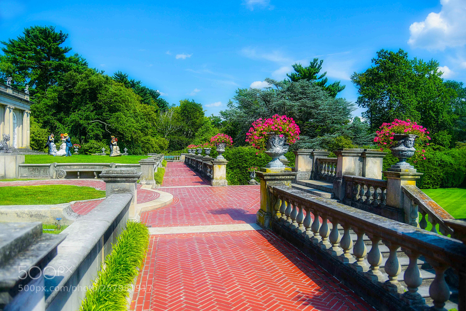 Nikon D750 sample photo. View of garden. photography