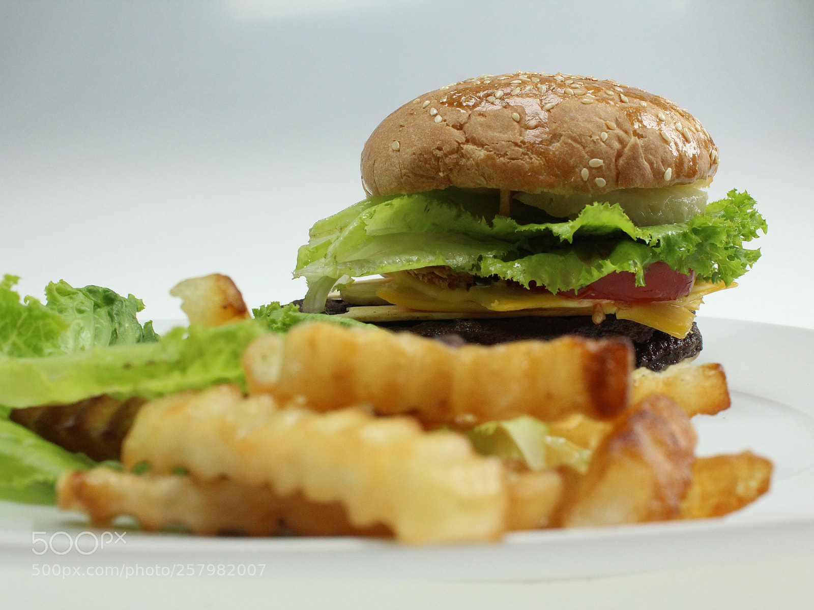 Canon EOS 600D (Rebel EOS T3i / EOS Kiss X5) sample photo. Hamburgesa/food photography