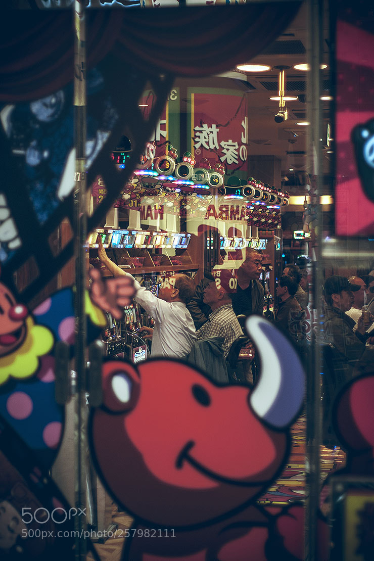 Sony Alpha DSLR-A700 sample photo. Untitled photography